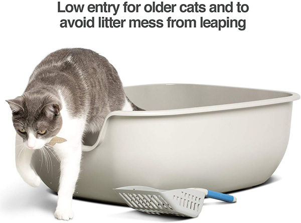 Cat litter outlet for older cats